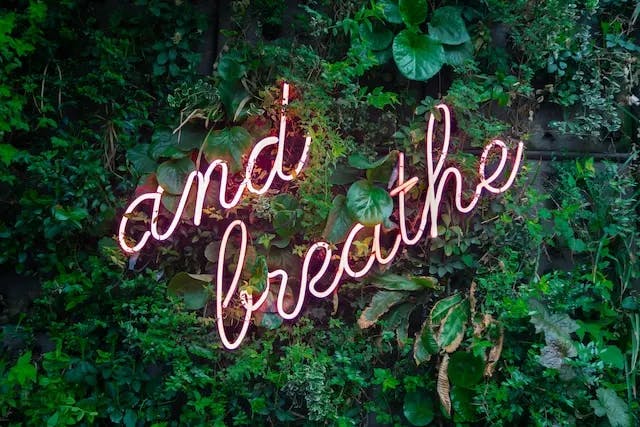 Pink neon sign reading 'and breathe', surrounded by lush, green plants.